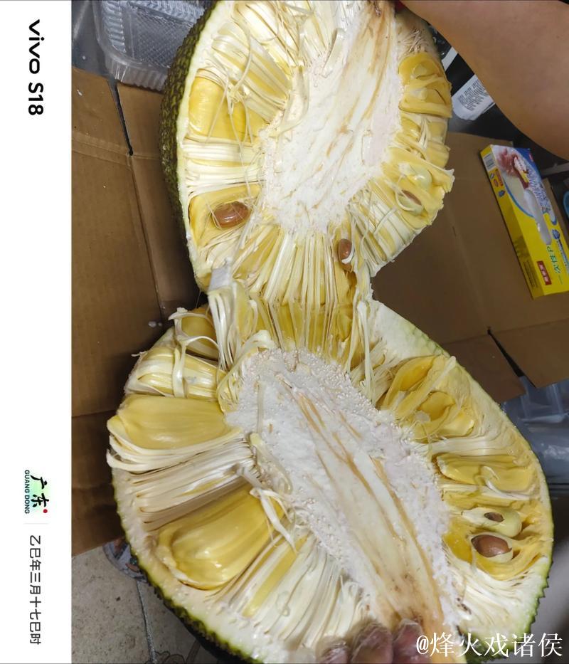 免费观看菠萝蜜视频的神奇体验 免费观看菠萝蜜视频的神奇体验